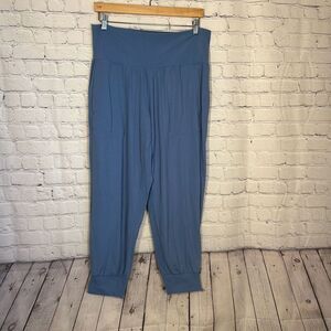 Athleta Salutation Jogger Blue Pants size 1X Pockets